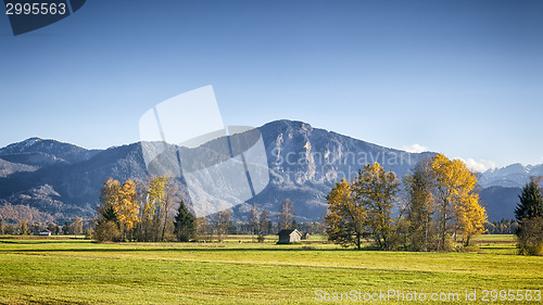 Image of autumn scenery