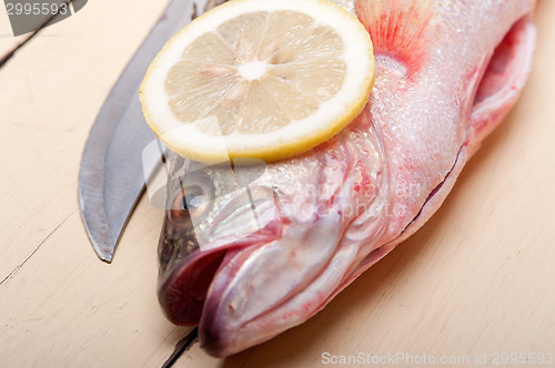 Image of fresh whole raw fish