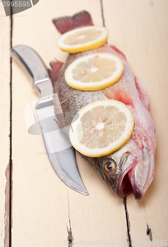 Image of fresh whole raw fish