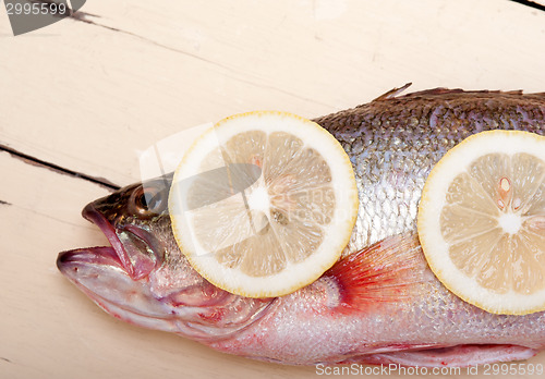 Image of fresh whole raw fish