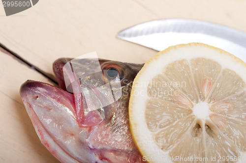 Image of fresh whole raw fish