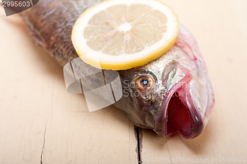 Image of fresh whole raw fish