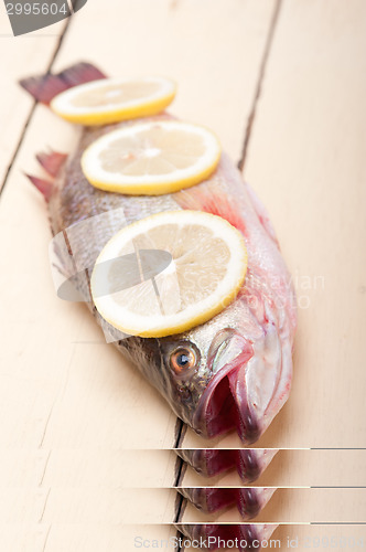 Image of fresh whole raw fish