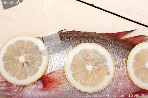 Image of fresh whole raw fish