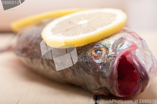 Image of fresh whole raw fish