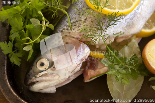 Image of Raw Rainbow Trout