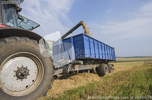 Image of Harvester unloads wheat