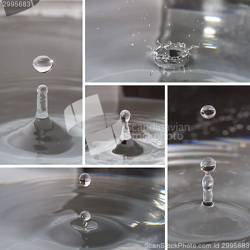 Image of Water splashing and ripple