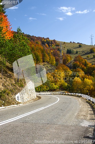 Image of Autumn road