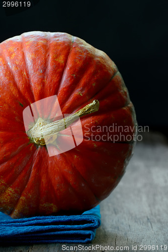 Image of pumpkin