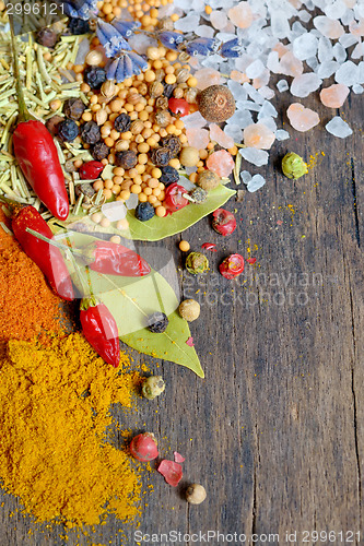 Image of Colorful spices and herbs