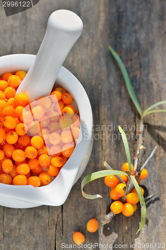 Image of Sea buckthorn berries