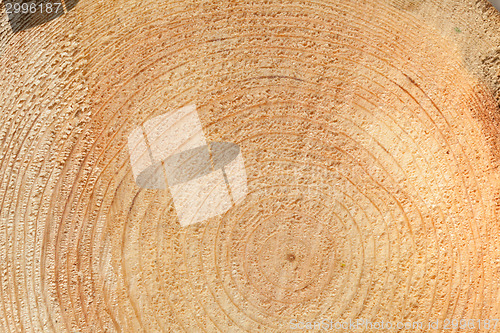 Image of Woodgrain