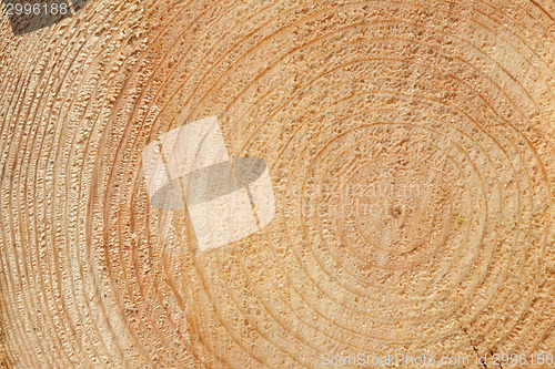 Image of Woodgrain