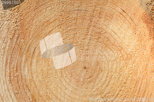 Image of Woodgrain