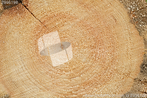 Image of Woodgrain