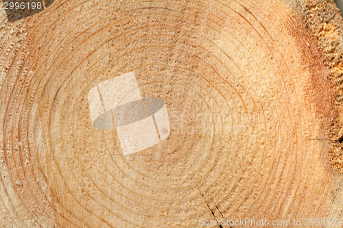 Image of Woodgrain