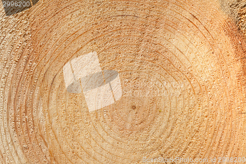 Image of Woodgrain