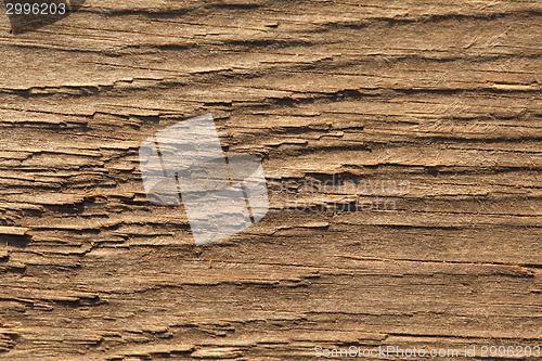 Image of Woodgrain