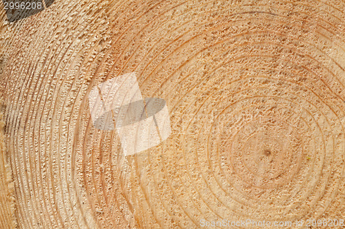 Image of Woodgrain