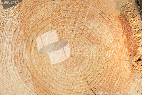 Image of Woodgrain