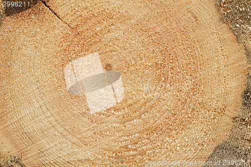 Image of Woodgrain