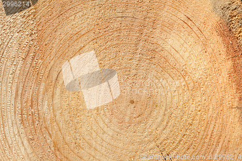 Image of Woodgrain