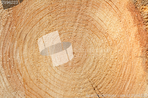 Image of Woodgrain