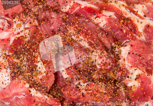 Image of Raw Pork With Spices