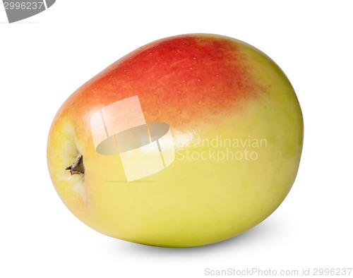 Image of Red And Yellow Apple Rotated