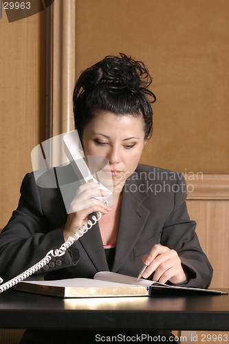 Image of Lawyer or Business professional