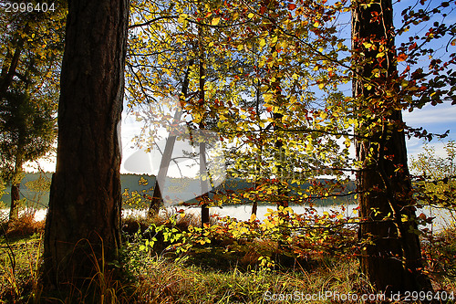 Image of HDR capture of an autumnal landscape in Bavaria 