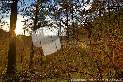 Image of HDR capture of an autumnal landscape in Bavaria 