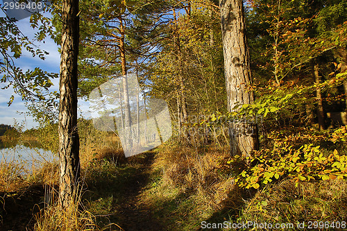 Image of HDR capture of an autumnal landscape in Bavaria 
