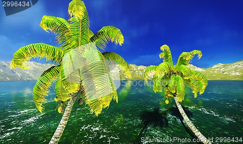 Image of Hawaiian paradise 