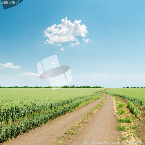 Image of dirty road in green grass and white cloud over it