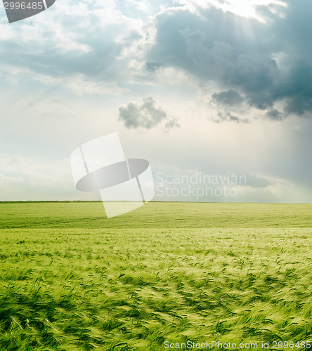 Image of dramatic sky over green field