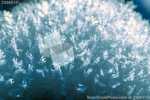 Image of Close-up view of rime