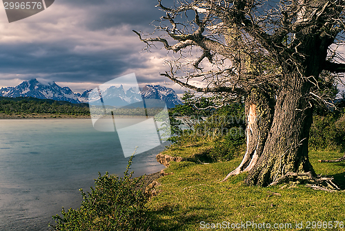 Image of Torres del Paine