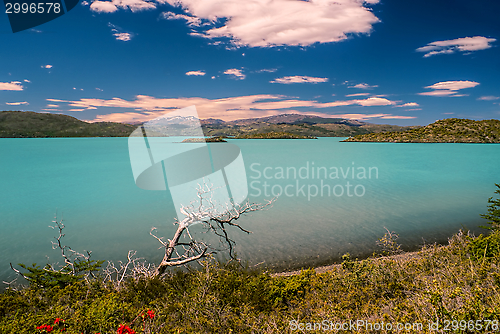 Image of Torres del Paine