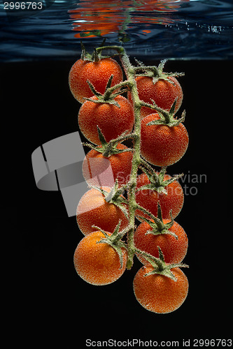 Image of Cherry tomatoes in water