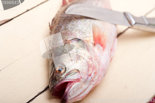 Image of fresh whole raw fish