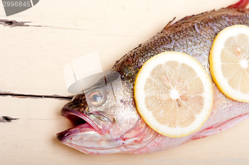 Image of fresh whole raw fish