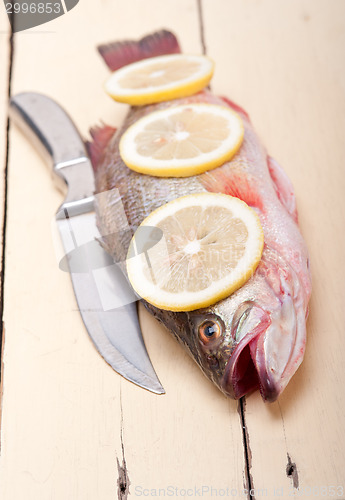 Image of fresh whole raw fish