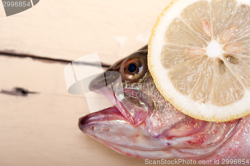 Image of fresh whole raw fish