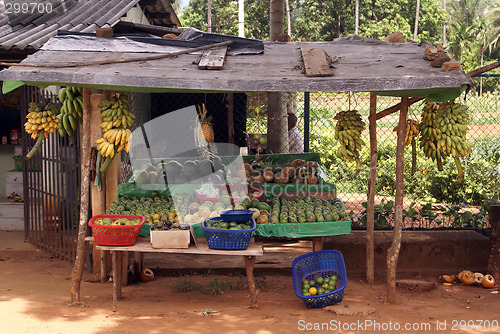 Image of Fruits