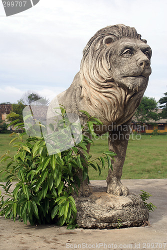 Image of Lion