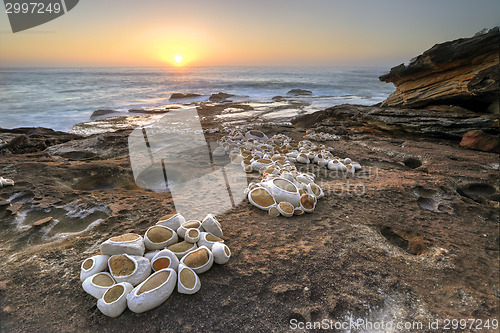Image of Sunrise on the rocks