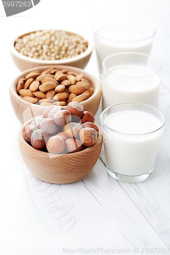 Image of different vegan milk