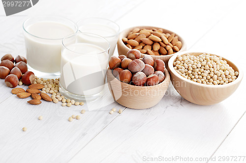 Image of different vegan milk